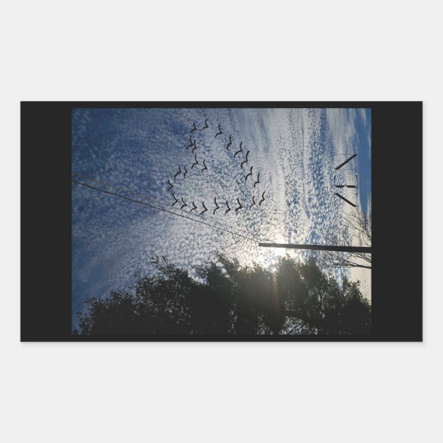 STICKER RECTANGULAIRE ZEN (Devant)