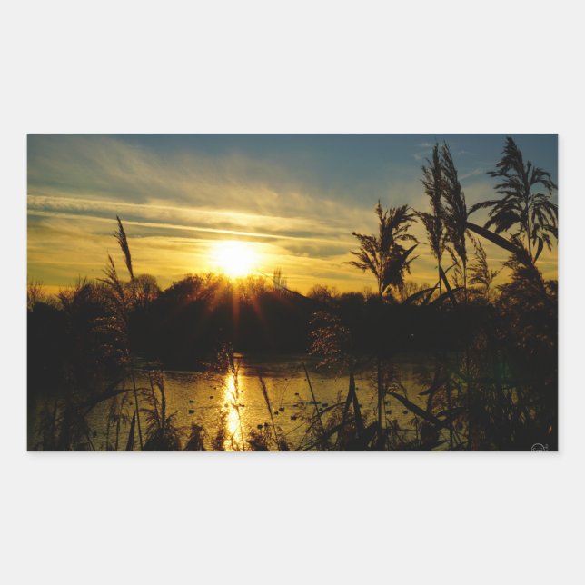 Sticker Rectangulaire Zonsondergang bij een meertje met rietpluimen. (Devant)