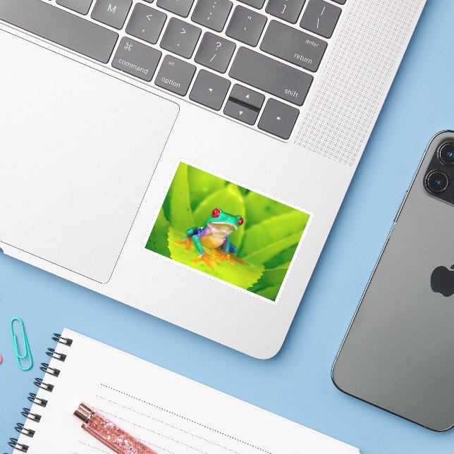 Sticker Red-eyed tree frog, Costa Rica (Ordinateur portable avec iPhone)