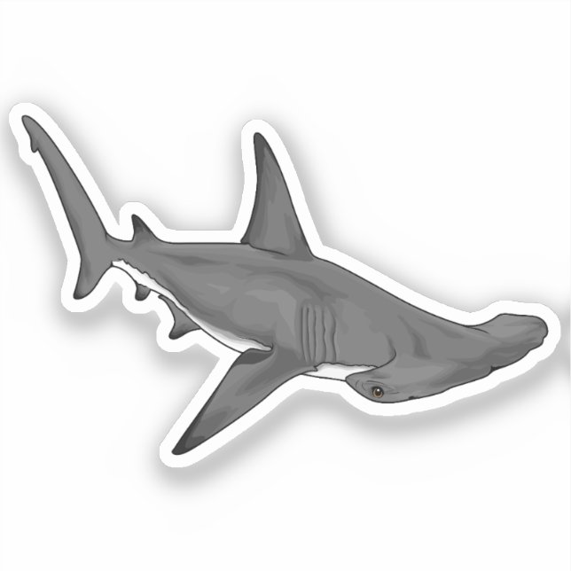 Sticker requin marteau B (Recto)