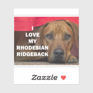 Sticker rhodésien-ridgeback amour avec pic