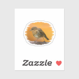 Sticker Robin Bébé Sur Une Branche D'Arbre