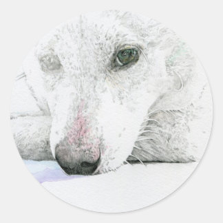 STICKER ROND 白柴犬シール