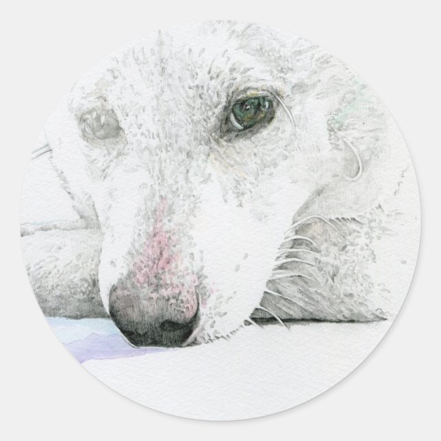 STICKER ROND 白柴犬シール (Devant)