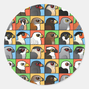 Sticker Rond 16 profils de Nord-américain Raptor (carrelés)