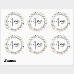 Sticker Rond 1 an Jalon bébé Giraffes et ballons