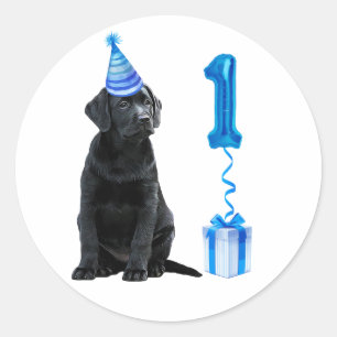 Sticker Rond 1er Anniversaire Chiot Thème - Chien bleu mignon G