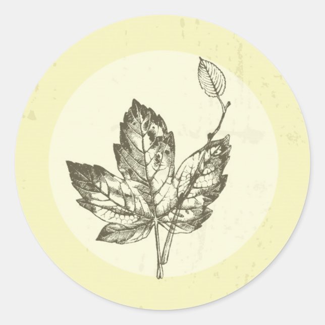 Sticker Rond 20 - 1,5 Enveloppe Sceau Main Tiré Feuilles Automa (Devant)