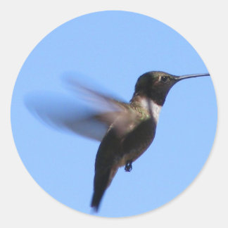 Sticker Rond 2J2 Colibri en vol dans un ciel bleu