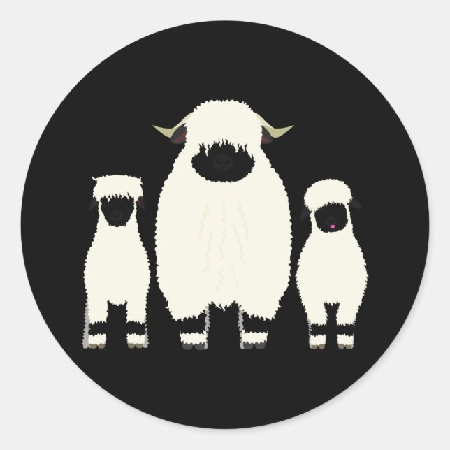 Sticker Rond 3 Moutons Noirs Valais dans une rangée (Devant)