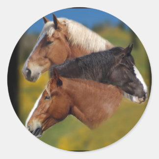 Sticker Rond 3 têtes de mare