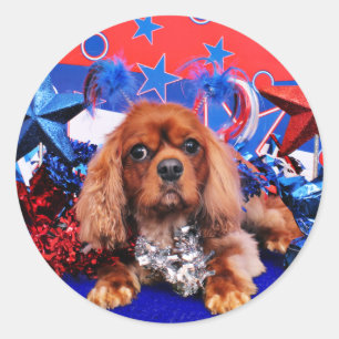 Sticker Rond 4 juillet - Cavalier King Charles Spaniel - Cooper