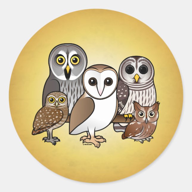 Sticker Rond 5 Chouettes Birdables (Devant)