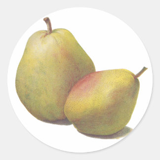 Sticker Rond 5 poires vintages illustrées
