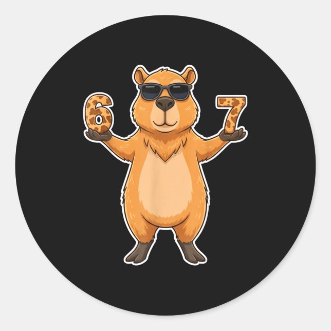 Sticker Rond 67 Capybara Sungles Gen Alpha Slang Funny Six Seve (Devant)