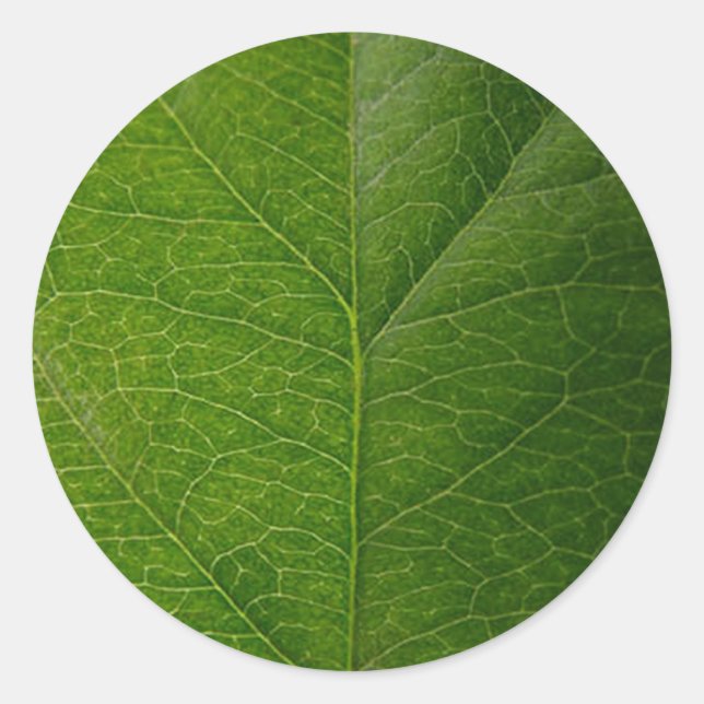 Sticker rond à feuilles vertes - La beauté de la n (Devant)