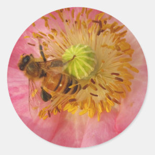 Sticker Rond Abeille de miel dans le coquelicot