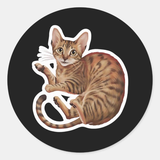 Sticker Rond Abyssinian (Devant)