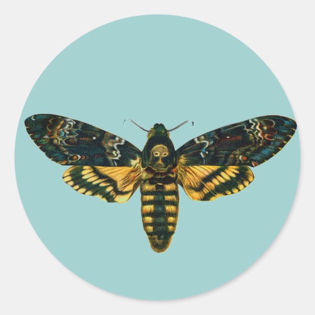 Sticker Rond Acherontia atropos (Moelle Hawkmoth de la tête de  (Devant)