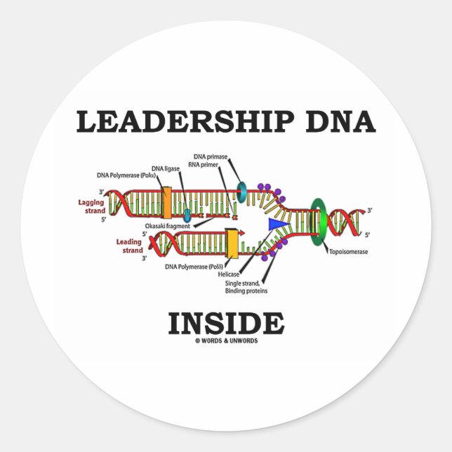 Sticker Rond ADN de leadership à l'intérieur (réplication de l' (Devant)
