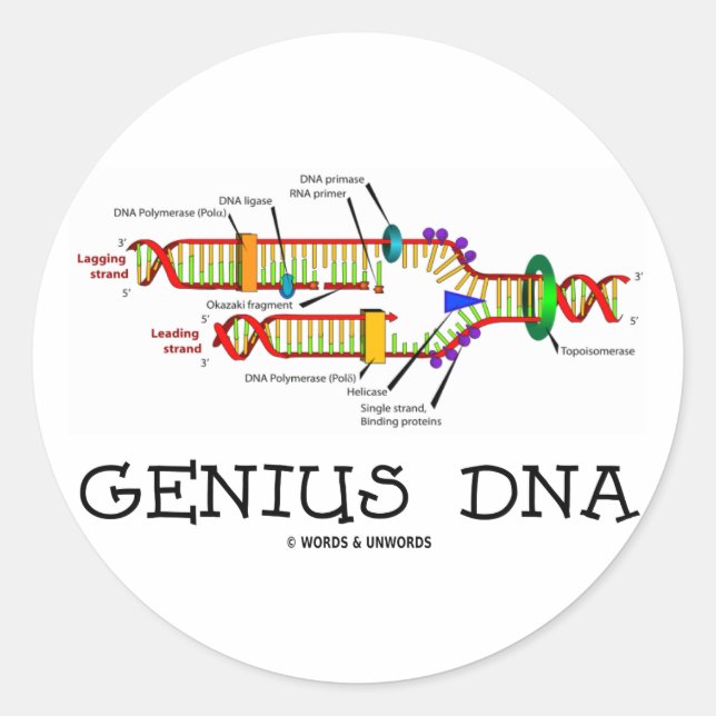 Sticker Rond ADN génial (Humour de réplication de l'ADN) (Devant)