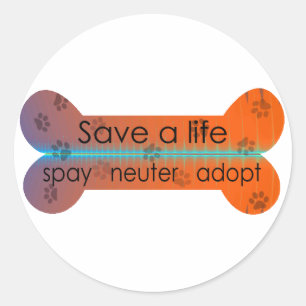 Sticker Rond adopter le néauter d'espionnage