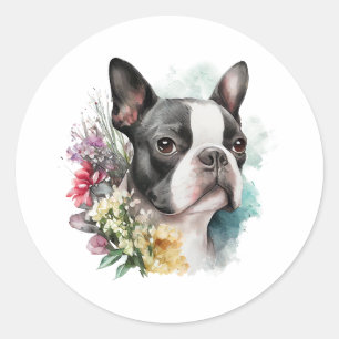 Sticker Rond Adorable Boston Terrier et fleurs