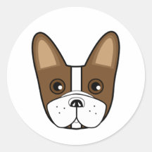 Adorable visage de Chien-taureaux français