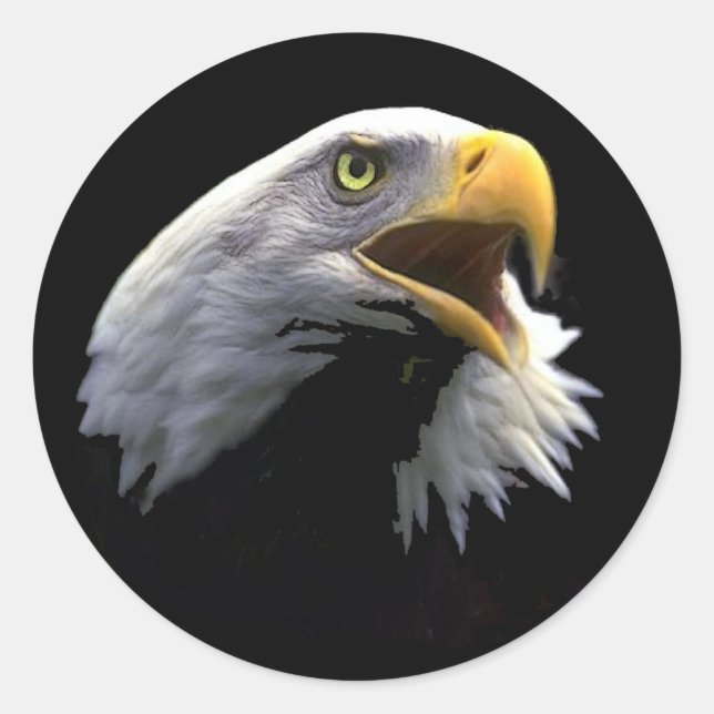 Sticker Rond Aigle (Devant)