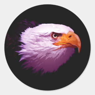 Sticker Rond Aigle à tête blanche américaine