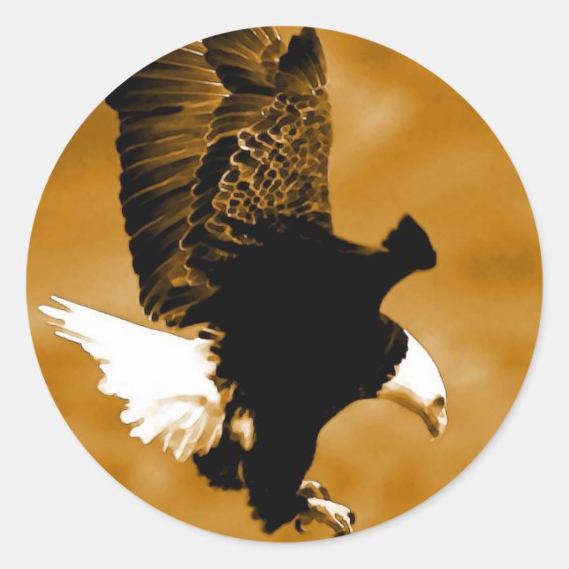 Sticker Rond Aigle d'Amérique (Devant)