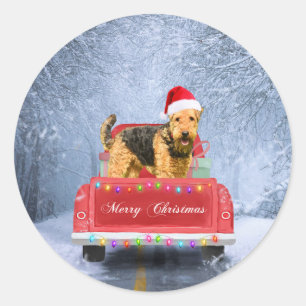 Sticker Rond Airedale Terrier Chien en Neige assis à Noël