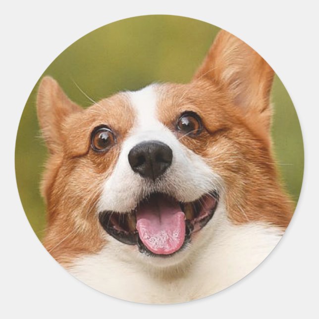 Sticker Rond Ajouter photo de chien personnalisé Customisé (Devant)