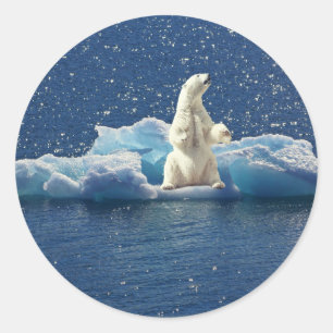 Sticker Rond Ajouter SLOGAN pour sauver les ours polaires Planè