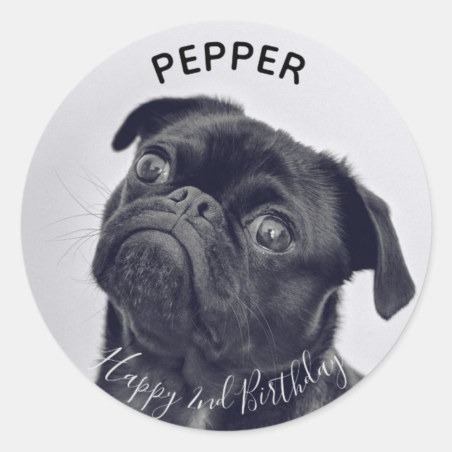 Sticker Rond Ajouter votre propre photo Animaux de compagnie No (Devant)
