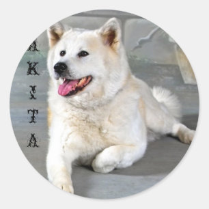 Sticker Rond Akita