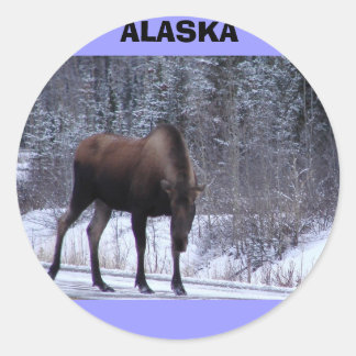 Sticker Rond Alaska Moose