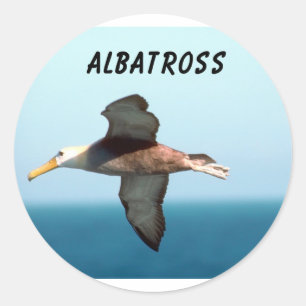 Sticker Rond Albatros volant