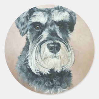 Sticker Rond Alfie - schnauzer miniature