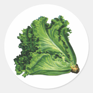 Sticker Rond Aliments Anciens, Légumes de Laitue à Feuilles Ver