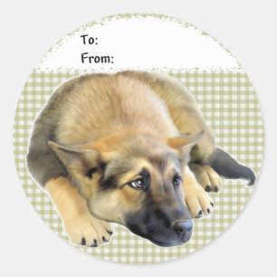 Sticker Rond Allemand Shepherd Chien Chien Chien Chien Chien Ta