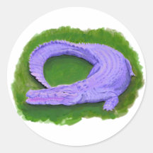 Alligator violet / Crocodile de Floride animal d'É