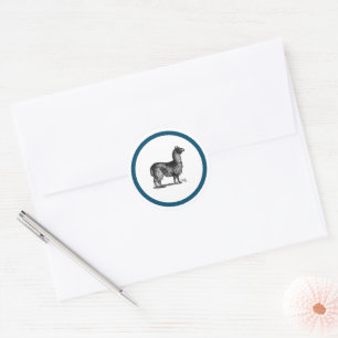 Sticker Rond Alpaca Llama Cute Pérou Animal Nature Art