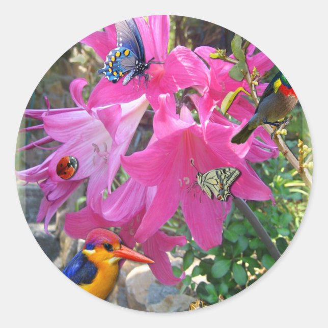 Sticker Rond Amaryllis (Devant)