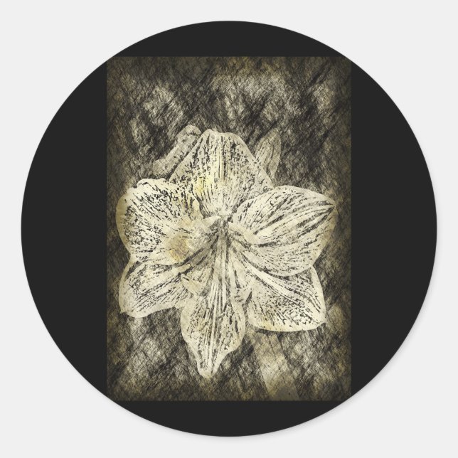 Sticker Rond Amaryllis Old Time Sketch (Devant)