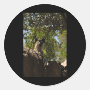 Sticker Rond Amateurs de la nature Hyena Valence Stic vertical