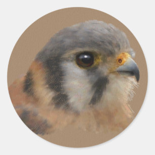 Sticker Rond American Kestrel Portrait