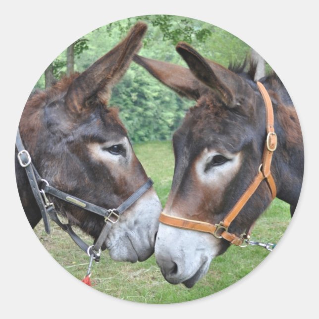 Sticker Rond Amis Donkey (Devant)