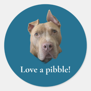 Sticker Rond Amour de Pit Bull pour un Pibble