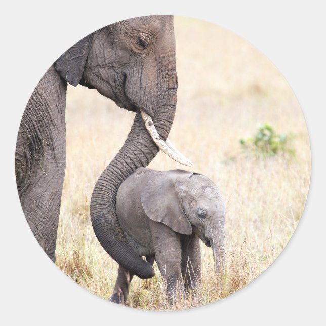 Sticker Rond Amour maternel (Devant)